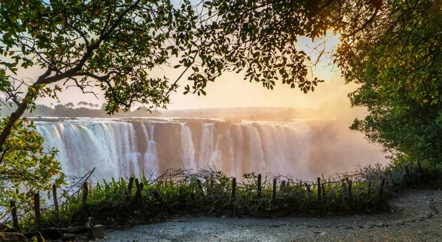 Victoria Falls in warm light, framed by trees